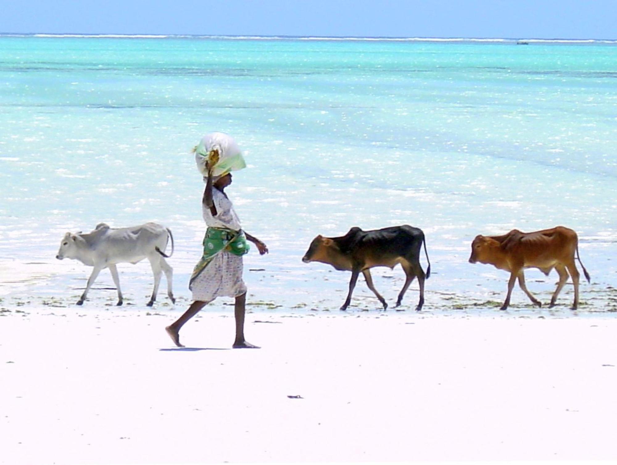 Villa Bahati Zanzibar Jambiani  Kültér fotó